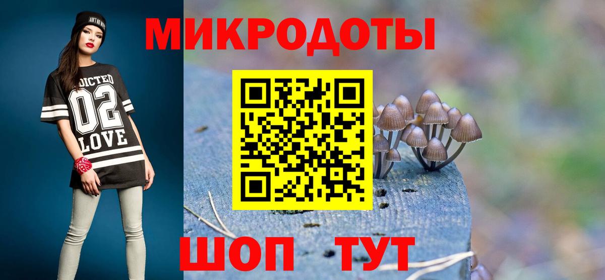 купить наркоту  Псилоцибиновые грибы Psilocybe  Вход с VPN  Всеволожск  Псилоцибиновые грибы Cubensis 